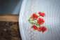 Preview: Vervaco-Kreuzstich-Stickdecke-Huhn-PN-0172772
