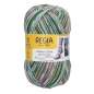 Preview: Regia-Lofoten-Color-Leknes