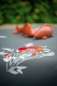 Preview: Vervaco-Kreuzstich-Stickdecke-Mohnblumen-PN-0170809