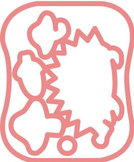 Trockenfilznadel-Applikationsform - Pilze und Igel