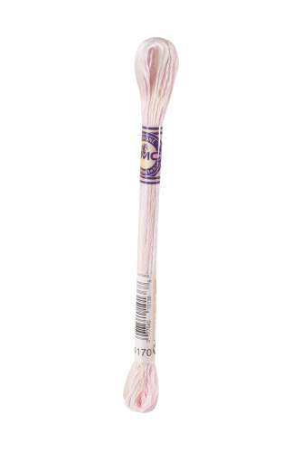 DMC-Color Variation-Stickgarn-4170