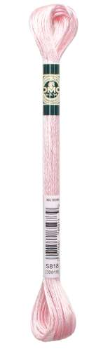 DMC-Satin-Stickgarn-S818