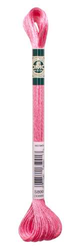 DMC-Satin-Stickgarn-S899