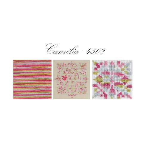 DMC-Coloris-Stickgarn-4502-Bild