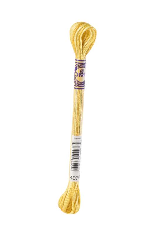 DMC-Color Variation-Stickgarn-4075