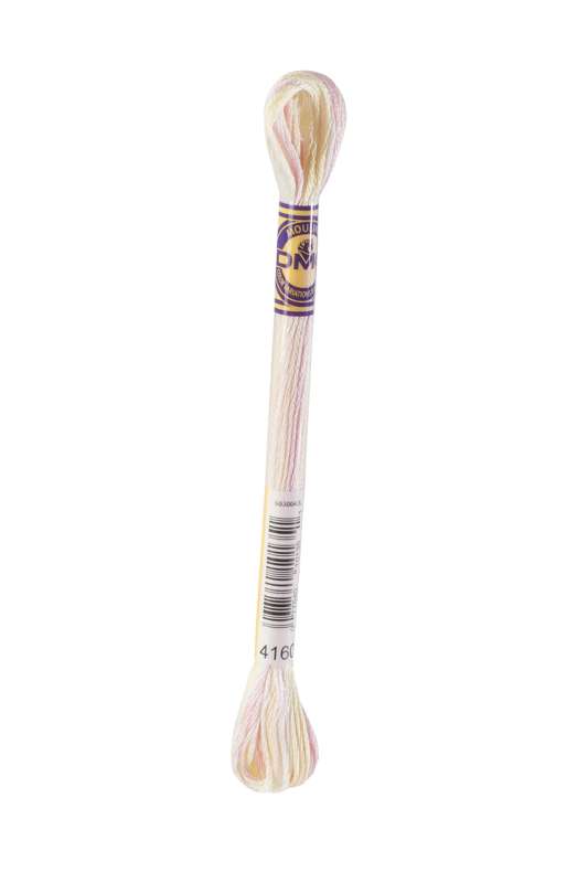 DMC-Color Variation-Stickgarn-4160
