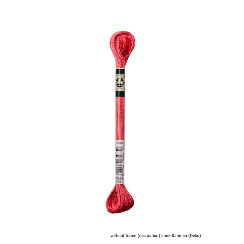 DMC-Satin-Stickgarn-S351