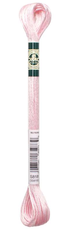 DMC-Satin-Stickgarn-S818