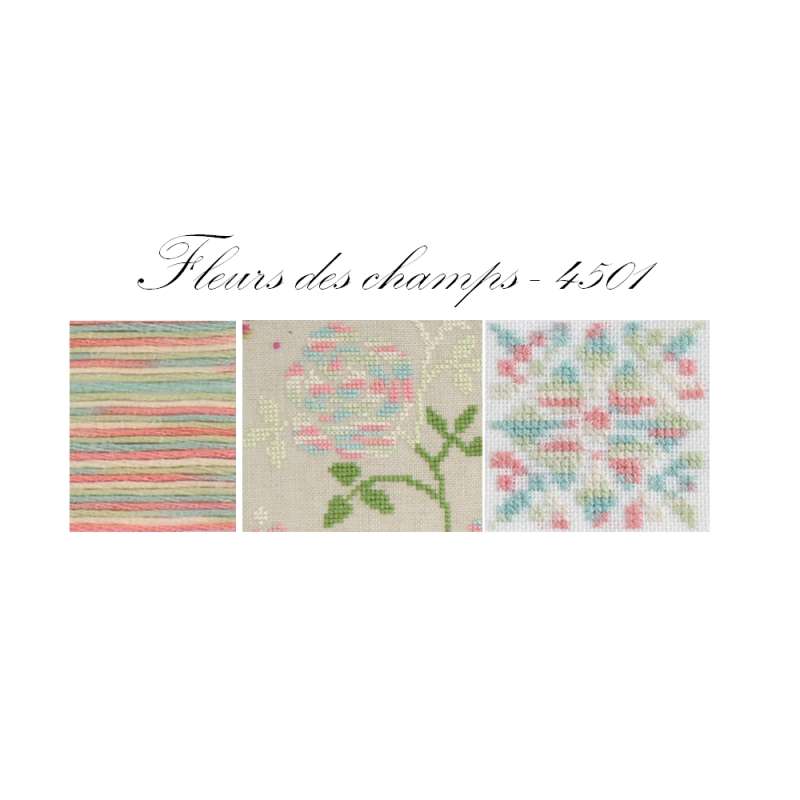 DMC-Coloris-Stickgarn-4501-Bild