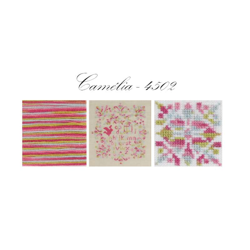 DMC-Coloris-Stickgarn-4502-Bild