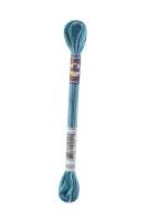 DMC-Color Variation-Stickgarn-4025