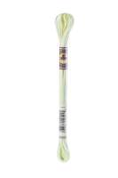 DMC-Color Variation-Stickgarn-4060