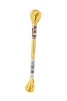 DMC-Color Variation-Stickgarn-4075