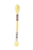 DMC-Color Variation-Stickgarn-4077