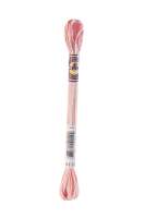 DMC-Color Variation-Stickgarn-4110