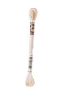 DMC-Color Variation-Stickgarn-4160