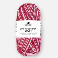 Basic Cotton color - 85-lieblicheTöne