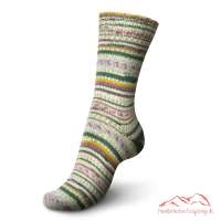 Regia-Lofoten-Color-Leknes